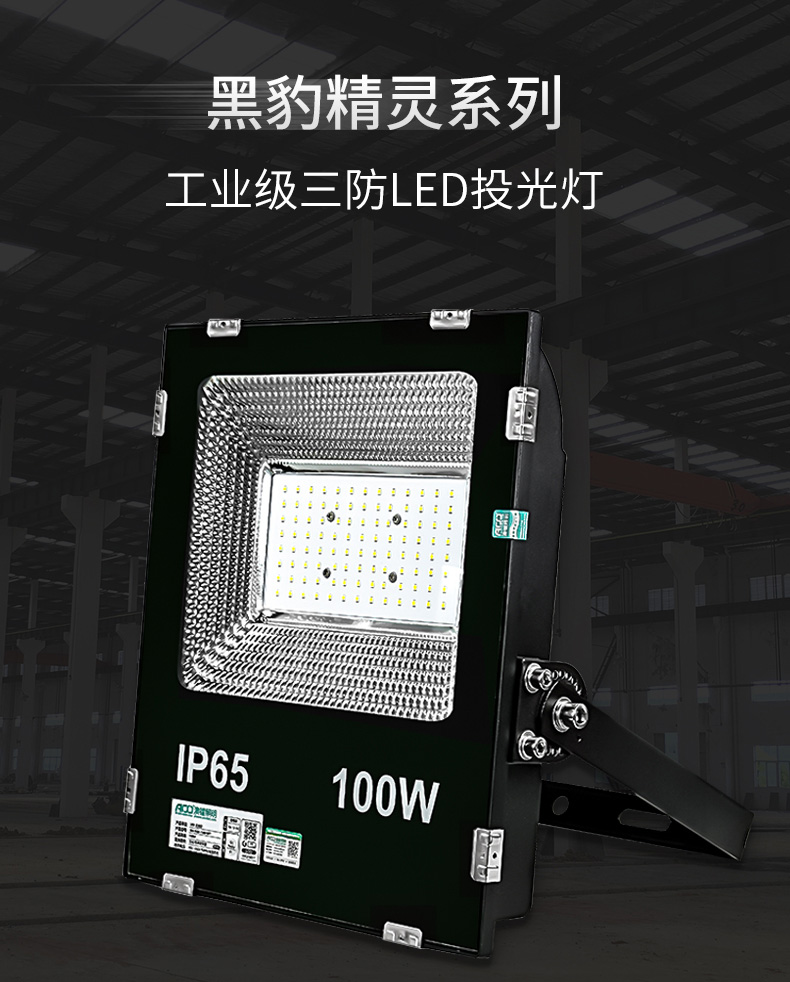 1586745117308194.jpg